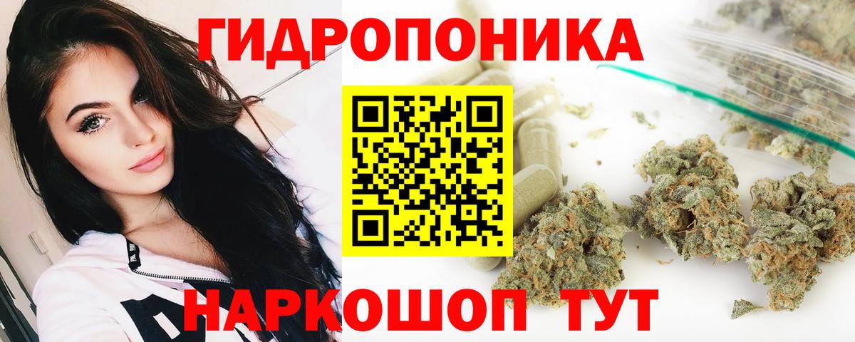 Канабис сатива Ивантеевка